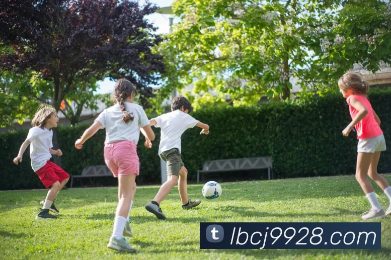 米兰app体育安全登录入口服务体系